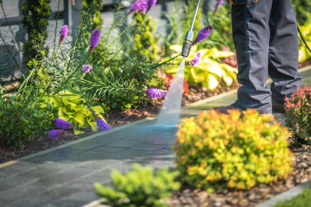 Best Dumpster Area Cleaning  in Oak Hill, FL