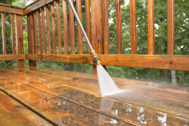 Best Solar Panel Cleaning  in Oak Hill, FL